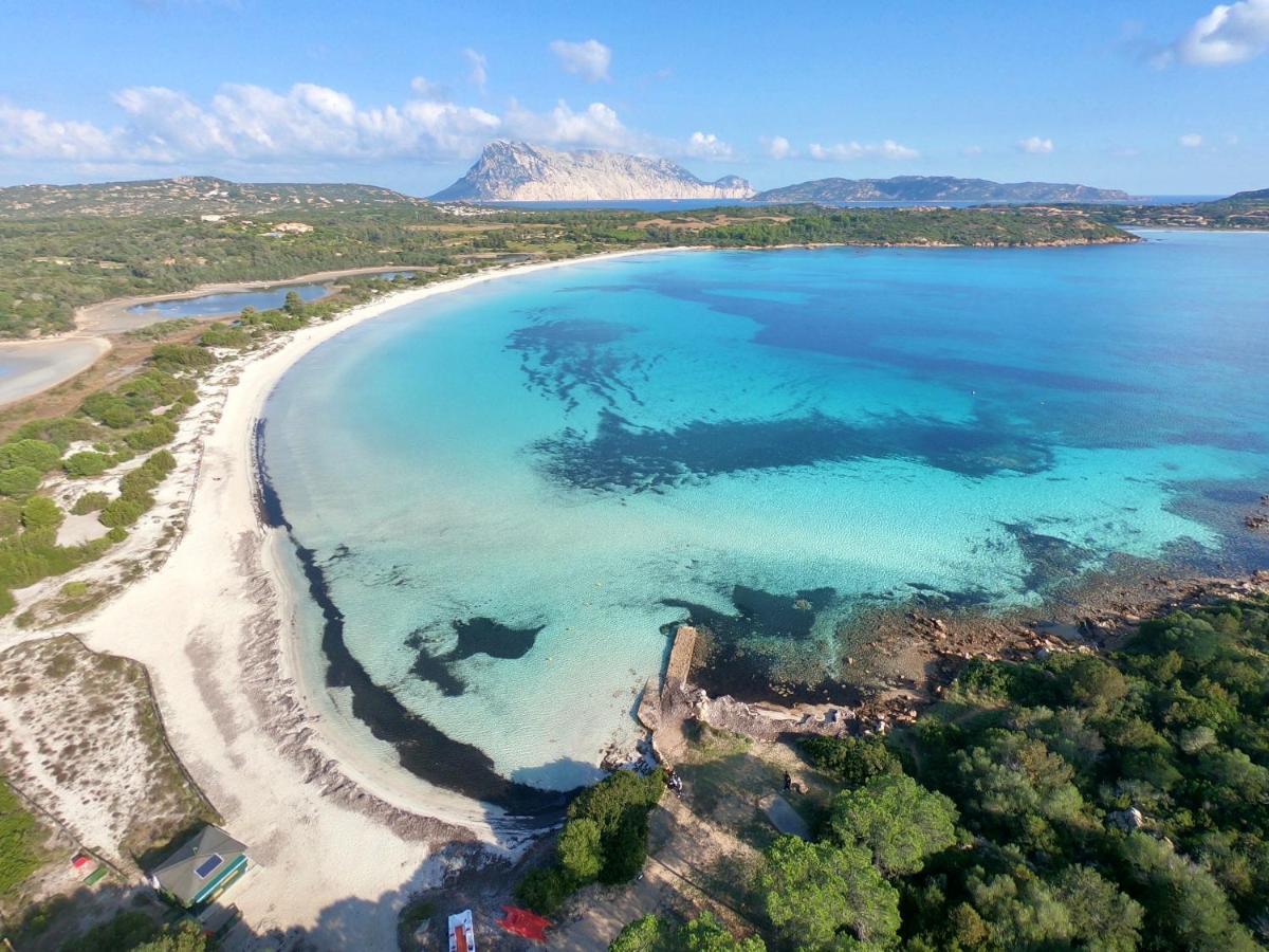 Iss Travel, La Ginestra - 2-Bedroom Apartment With Terrace And View Over Tavolara Island Сан-Теодоро Экстерьер фото
